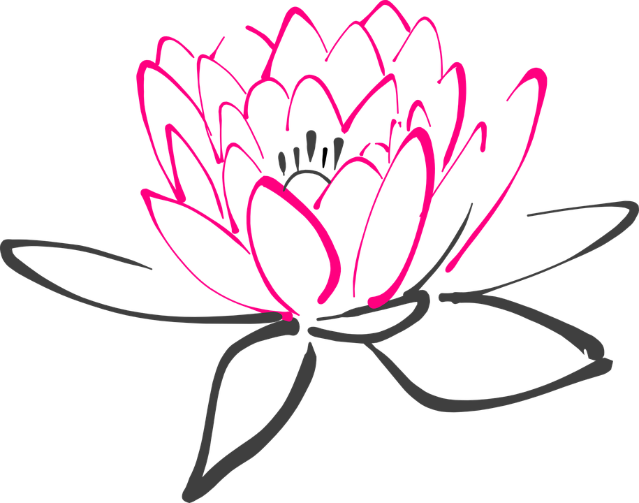 a cet emplacement s'affiche une image d'une fleurs de lotus, logo
